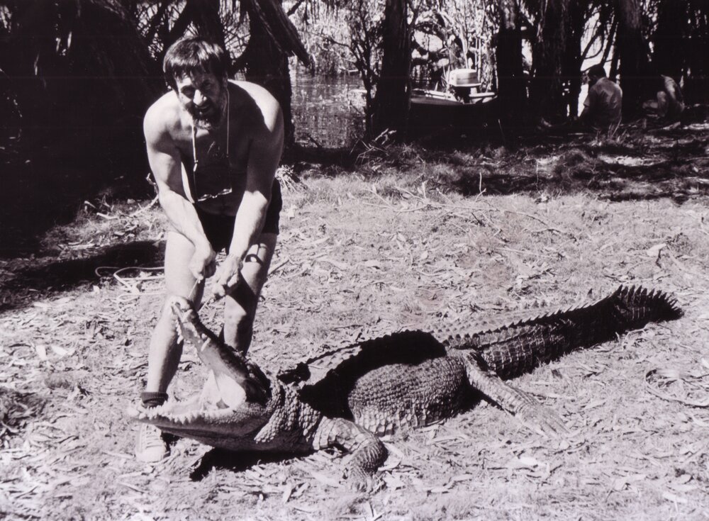 Professor Harry Messel with a Crocodile - Environmental Physics Expedition
