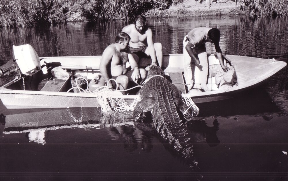 Crocodile Research - Environmental Physics Expedition