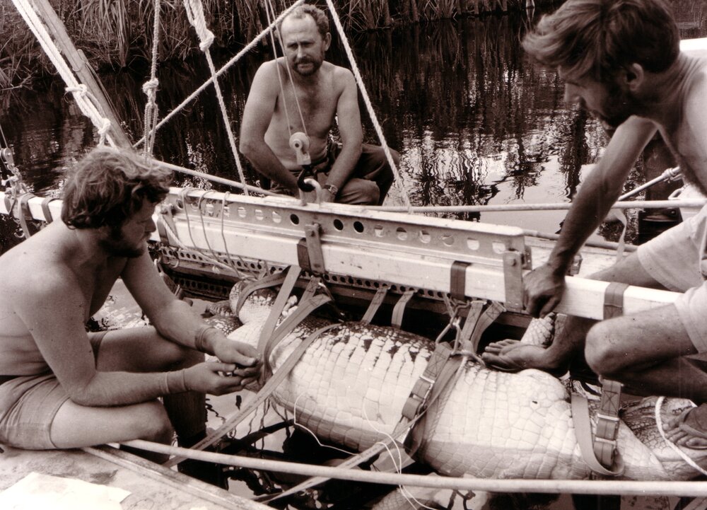 Crocodile Research - Environmental Physics Expedition - Goyder River, Arnhem Land