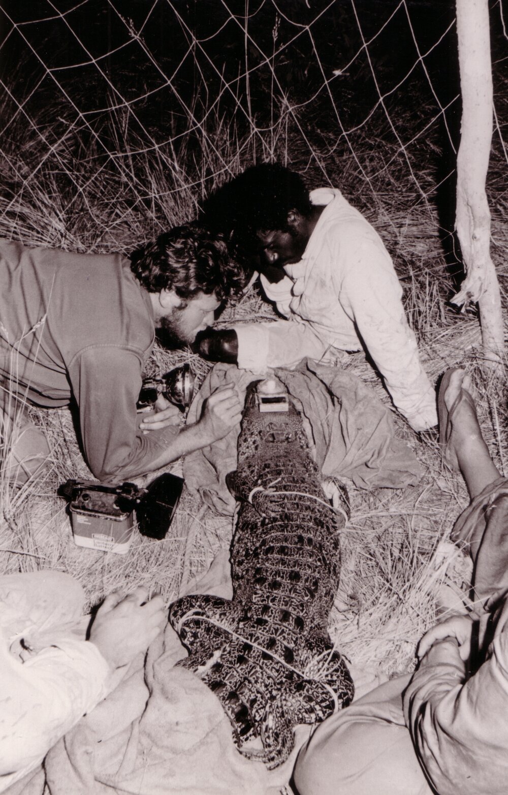 Crocodile Research - Environmental Physics Expedition