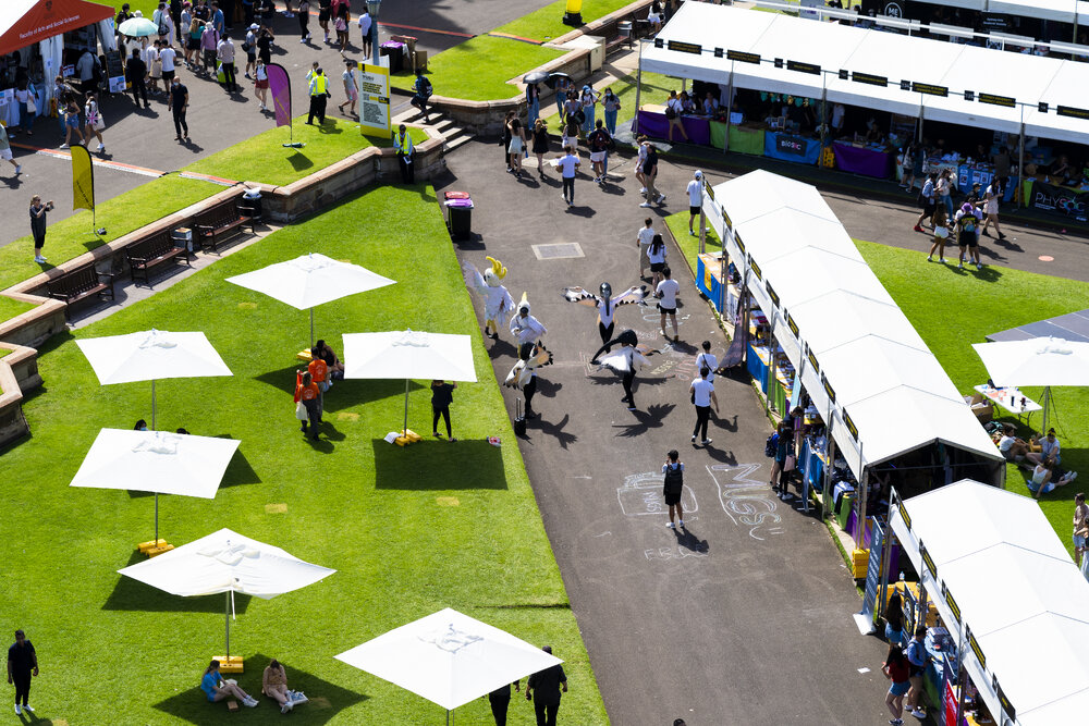 Aerial View of Front Lawn During Welcome Week with Ibis and Cockatoo Performers