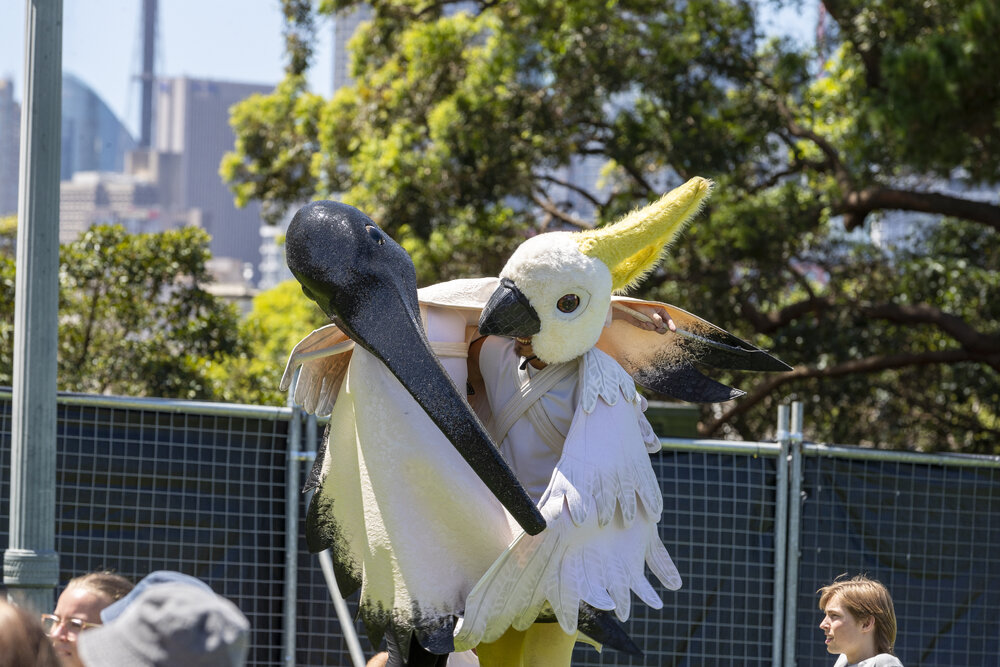Ibis and Cockatoo Performers on Front Lawn at Welcome Week