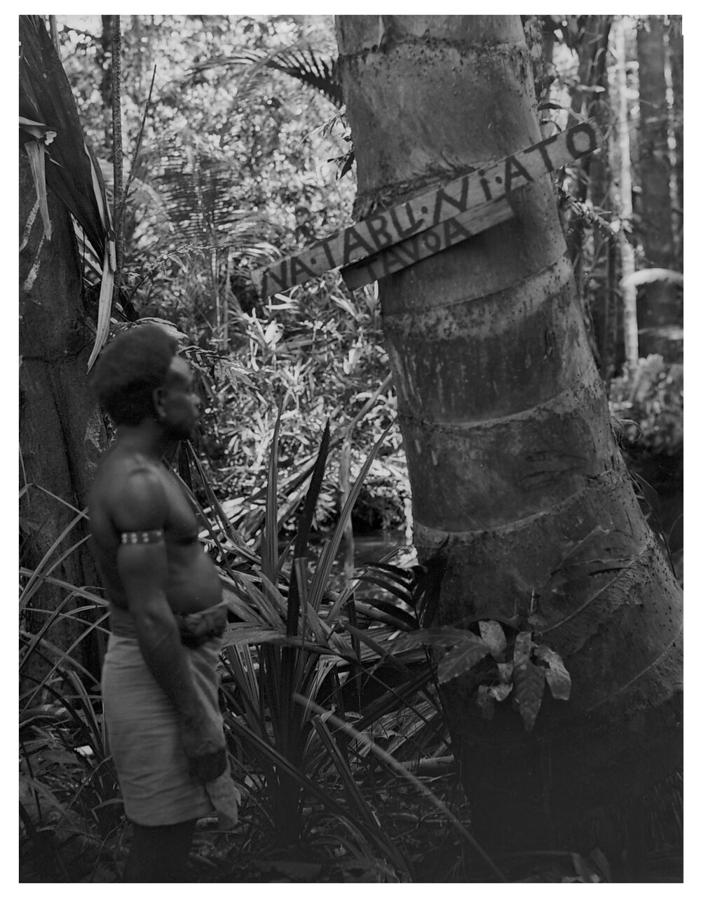 Sign - Na Tabu Ni Ato Tavoa [Don't Touch]