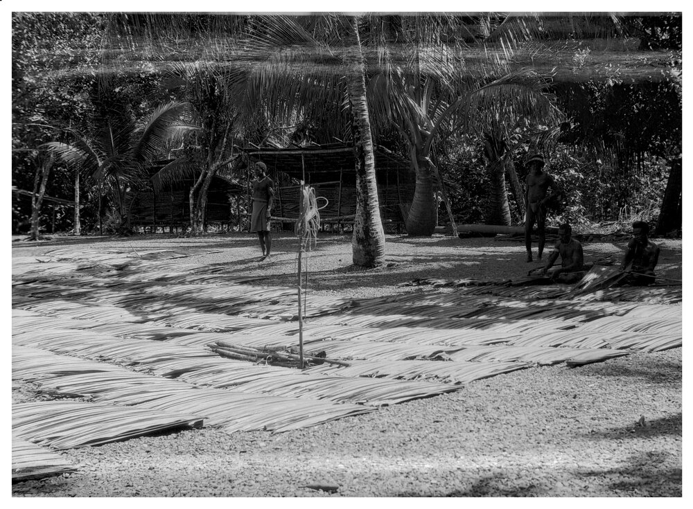 Sewing Up Leaf for Thatch and Drying It