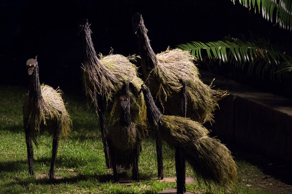 Emu Display at Vivid Path to the Future Festival