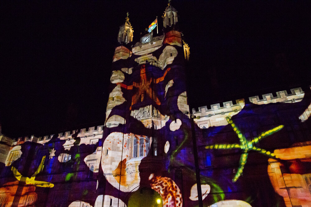 Vivid Path to the Future Festival Light Show on Quadrangle