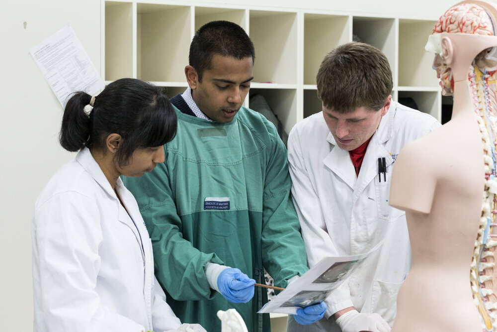 Medicine Students with Anatomy Model