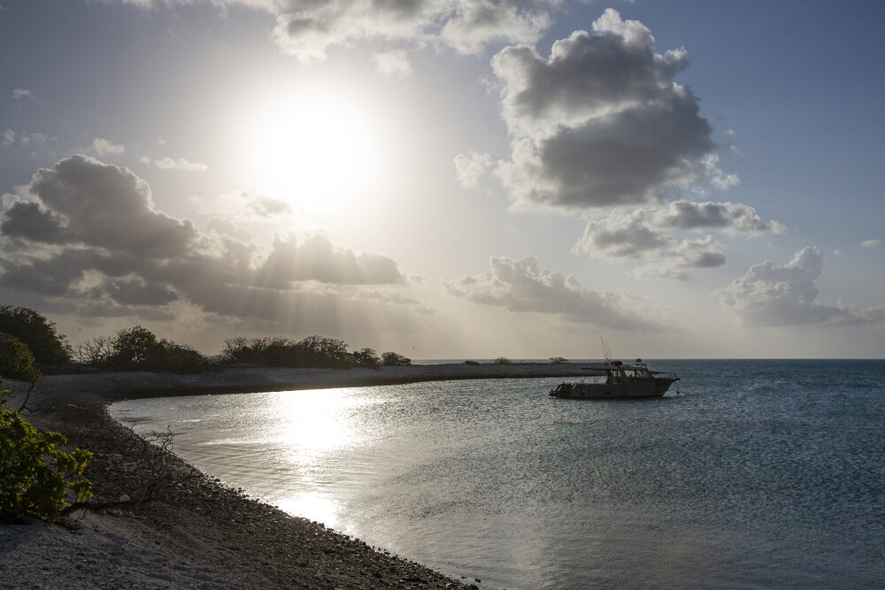 One Tree Island Research Station