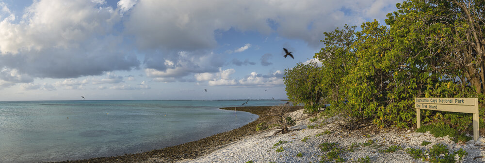 One Tree Island Research Station
