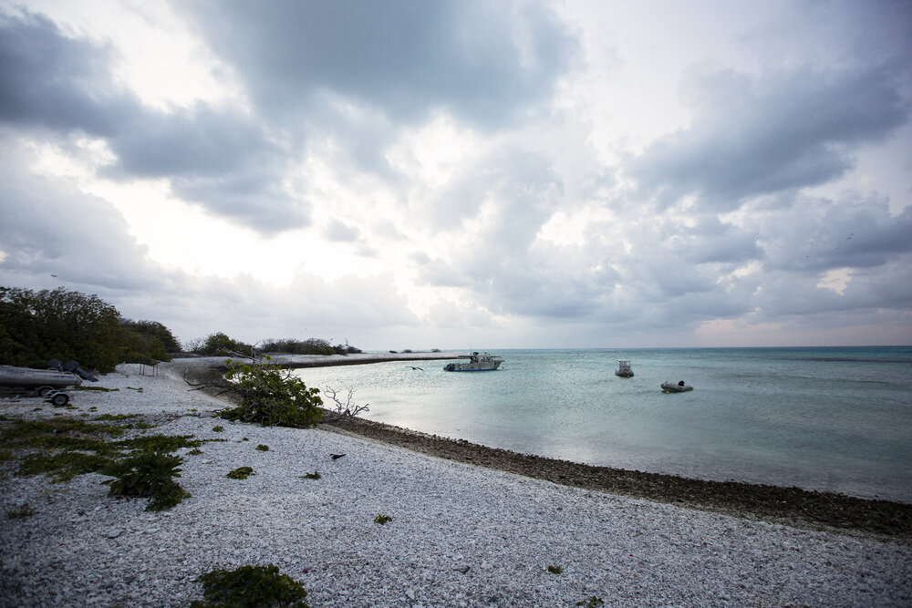 One Tree Island Research Station