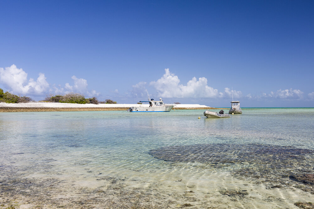 One Tree Island Research Station