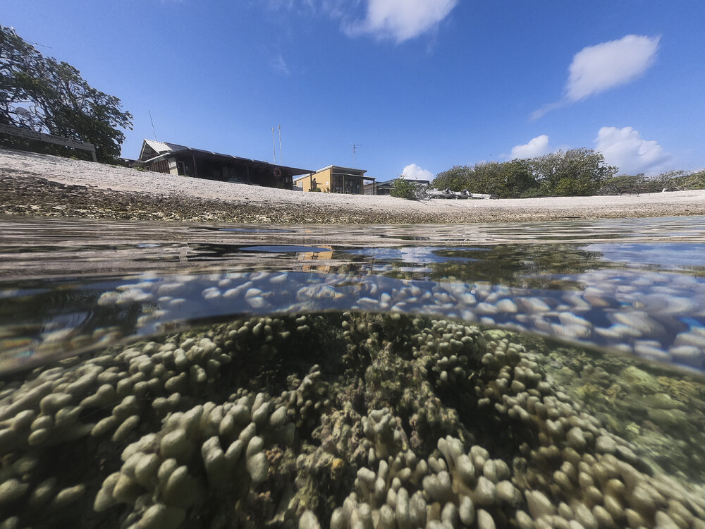 One Tree Island Research Station