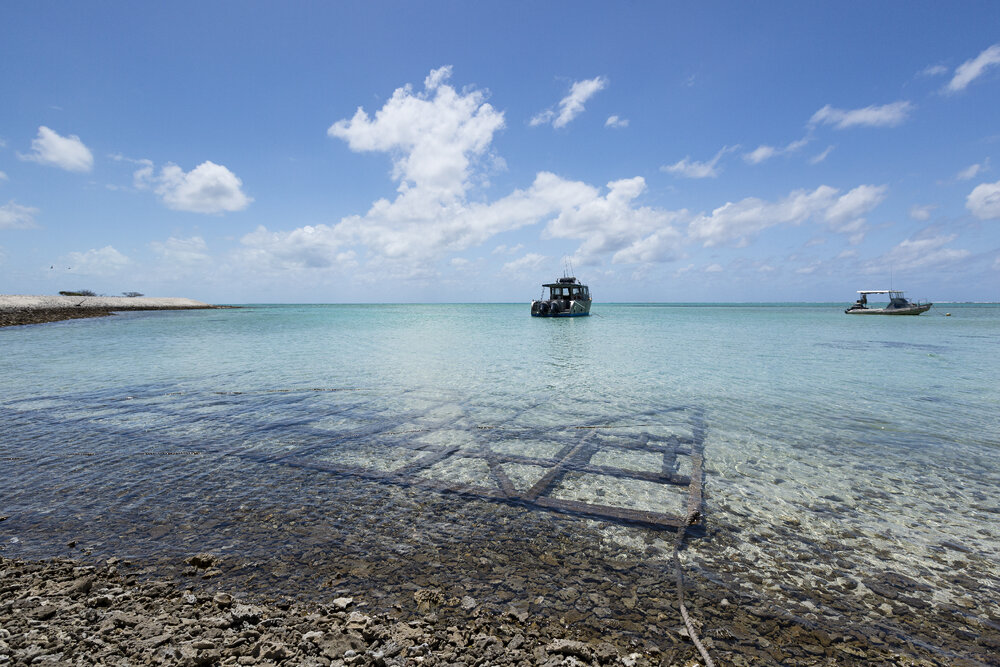 One Tree Island Research Station