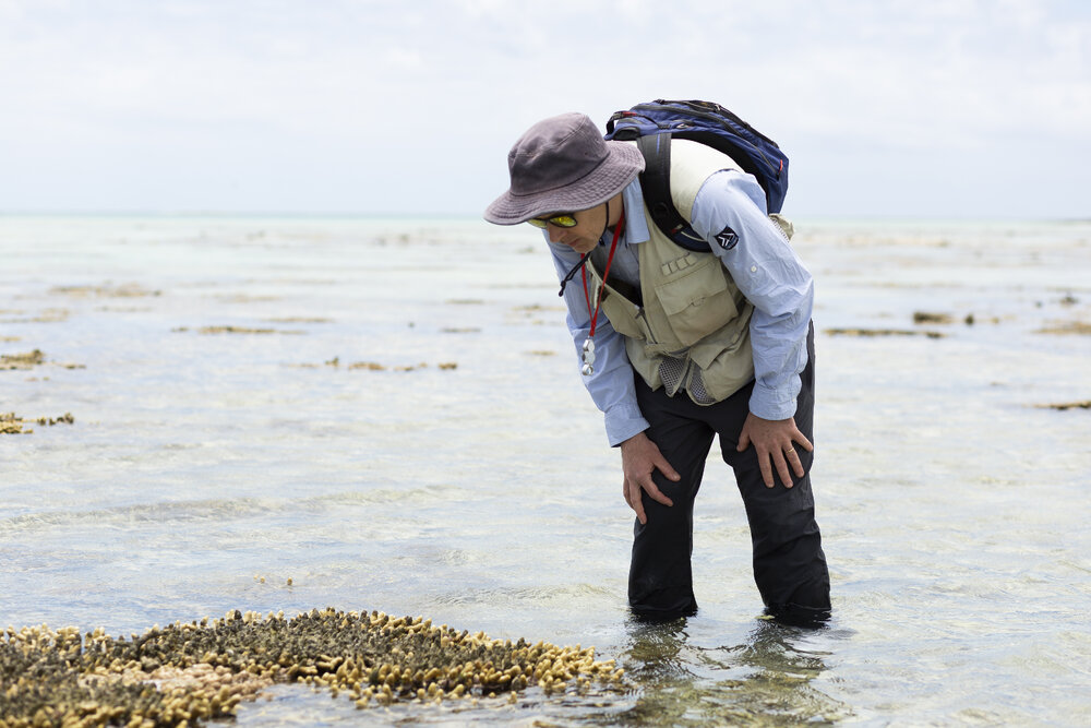 One Tree Island Research Station