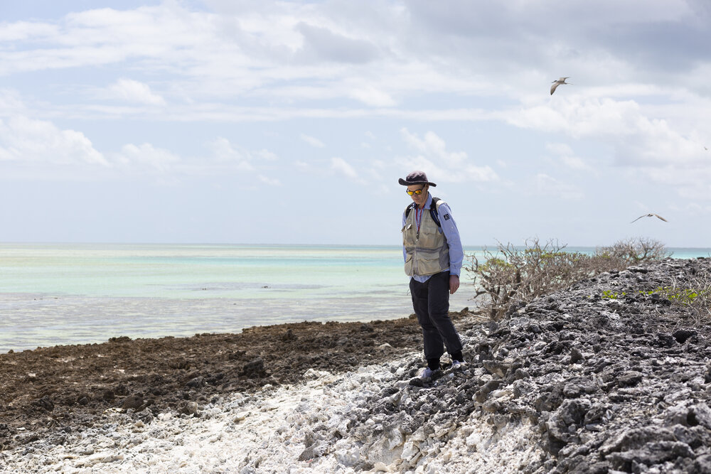 One Tree Island Research Station