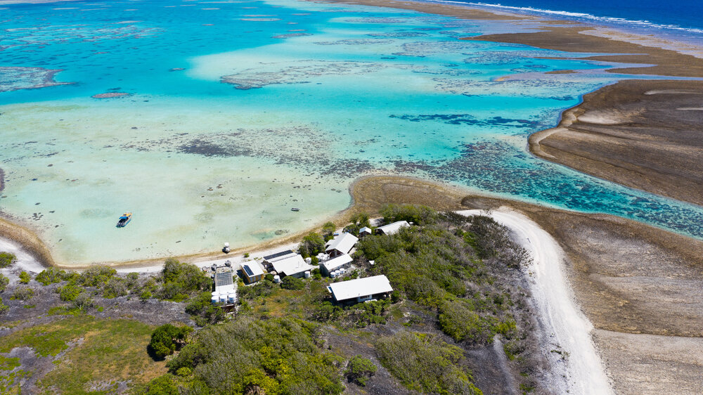 One Tree Island Research Station