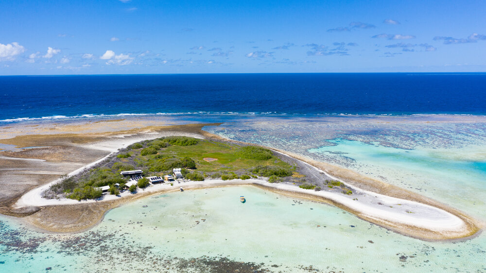 One Tree Island Research Station