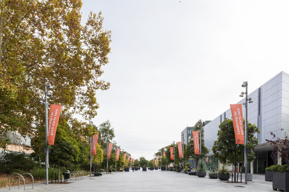 Eastern Avenue Looking Towards Fisher Library
