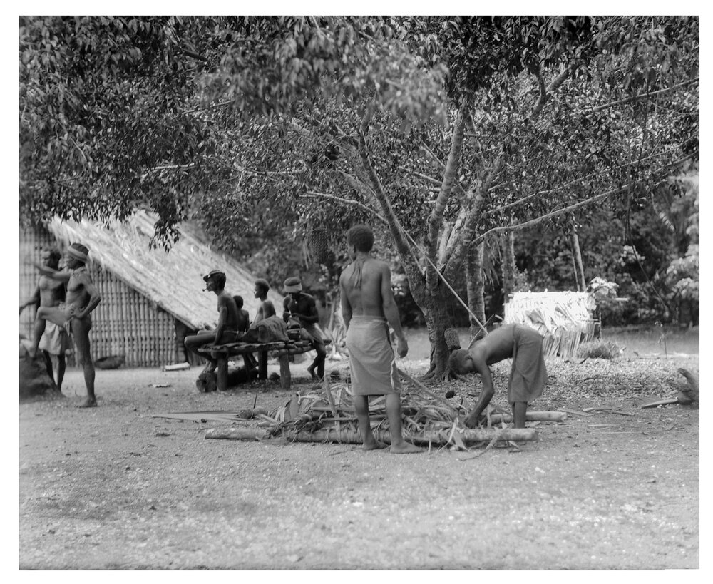 Pig Ready for Shipment