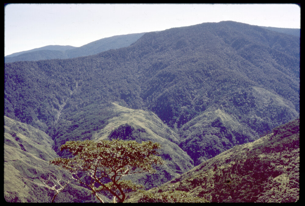 View from Guari to Gap