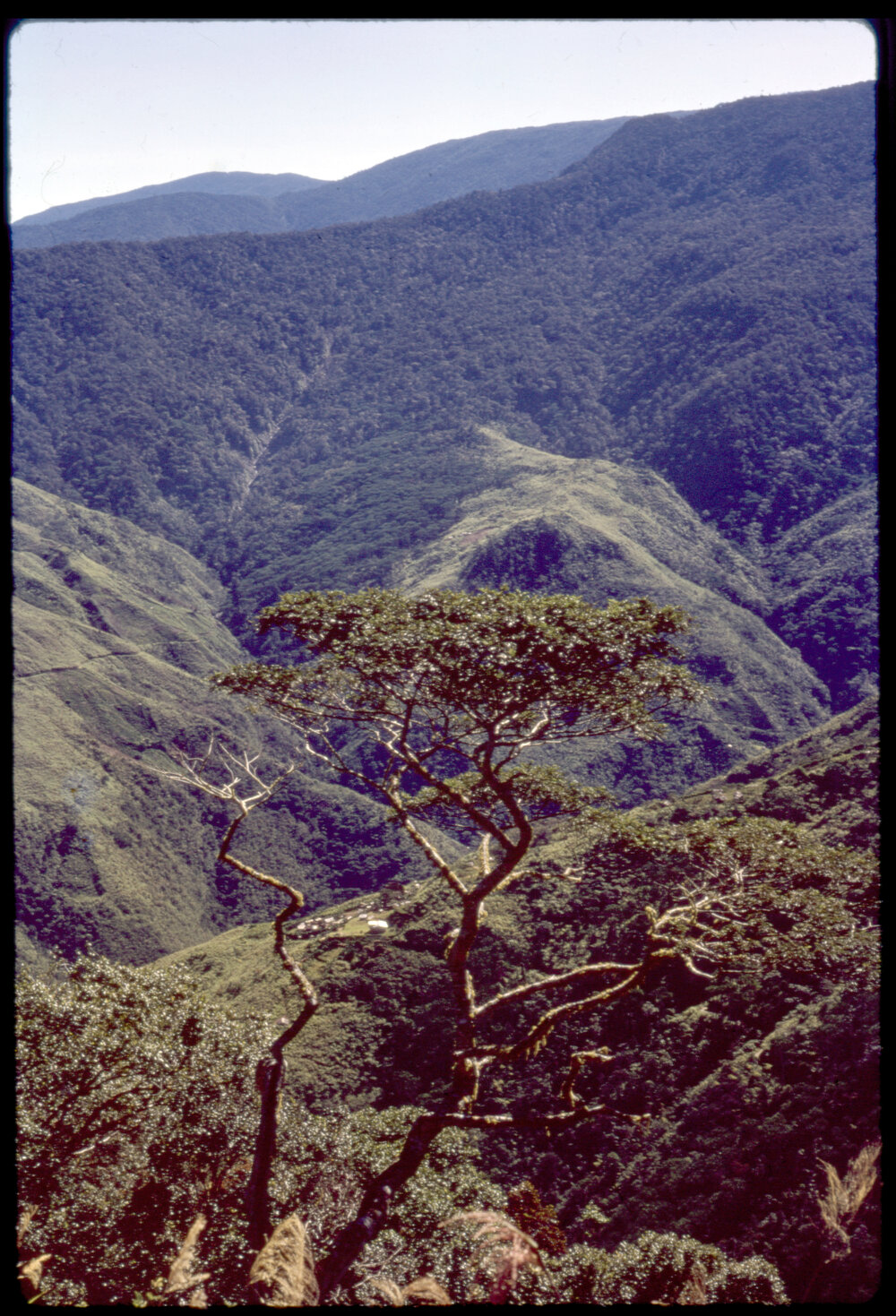 View from Guari to Gap