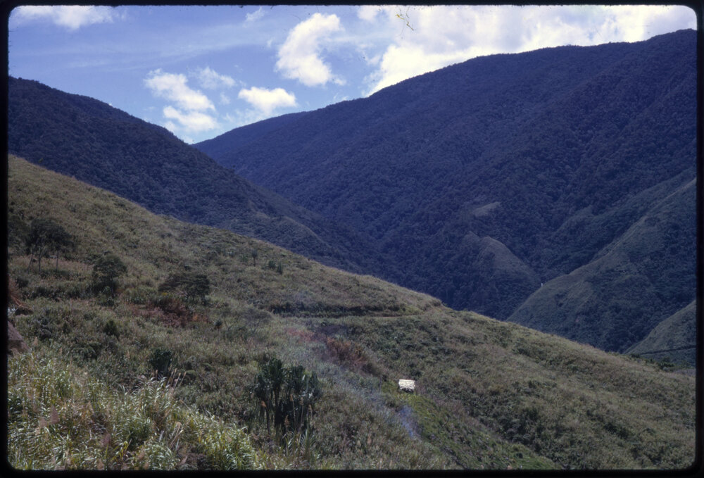 Mountainside, Papua New Guinea