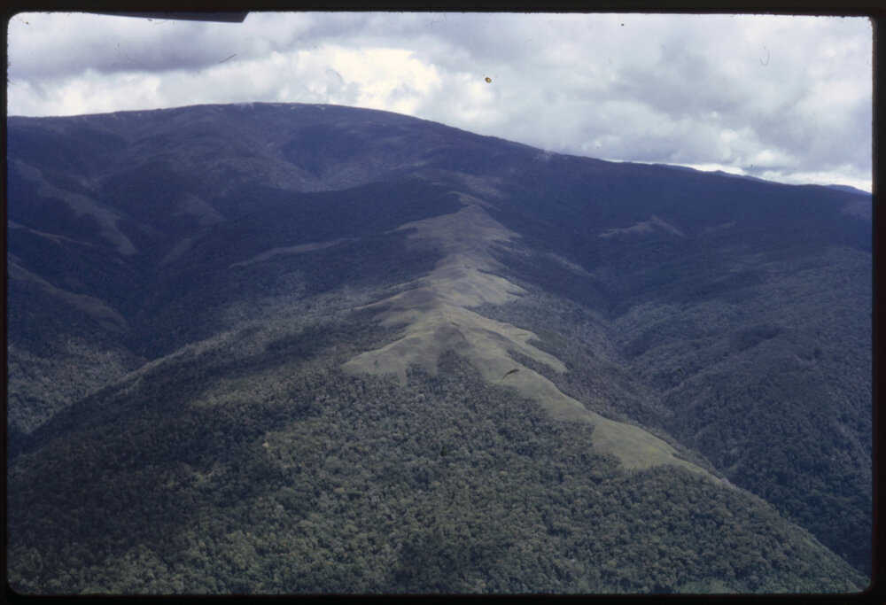 Aerial View of Mountains, Papua New Guinea