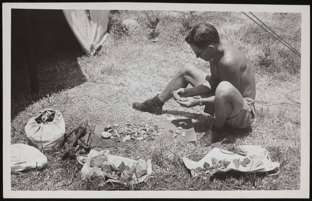 Frederick D McCarthy