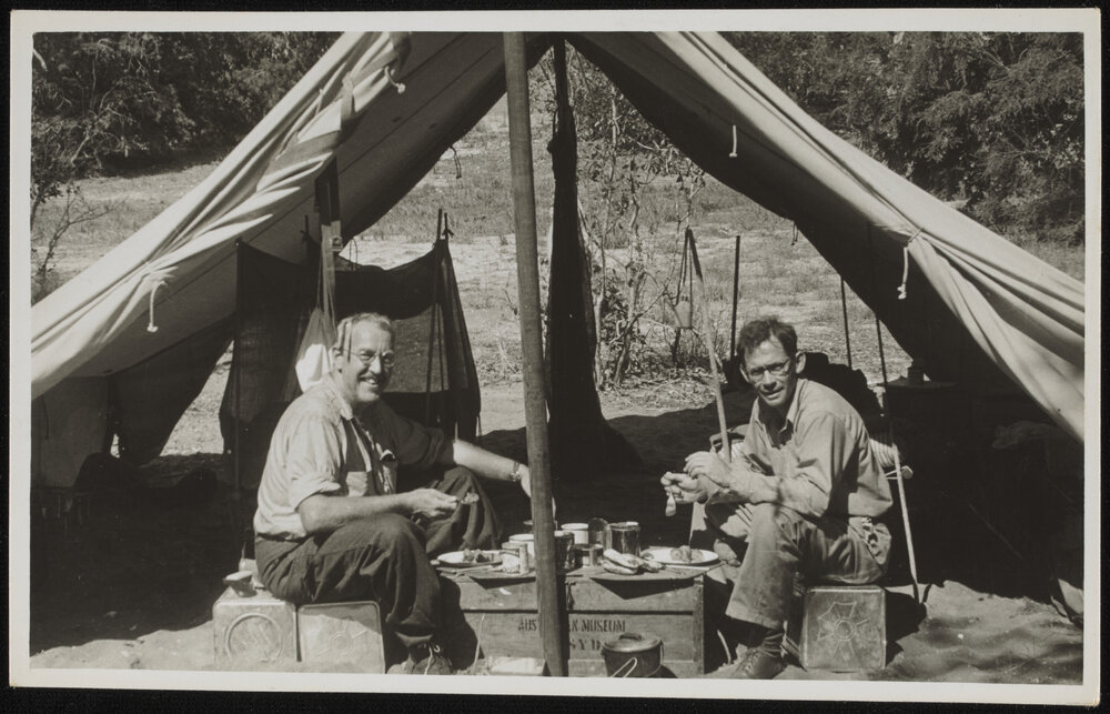 Frank Seltzer and Frederick D McCarthy 