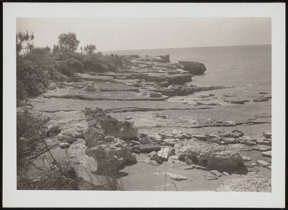 Cliffs at Nightcliff, Darwin 