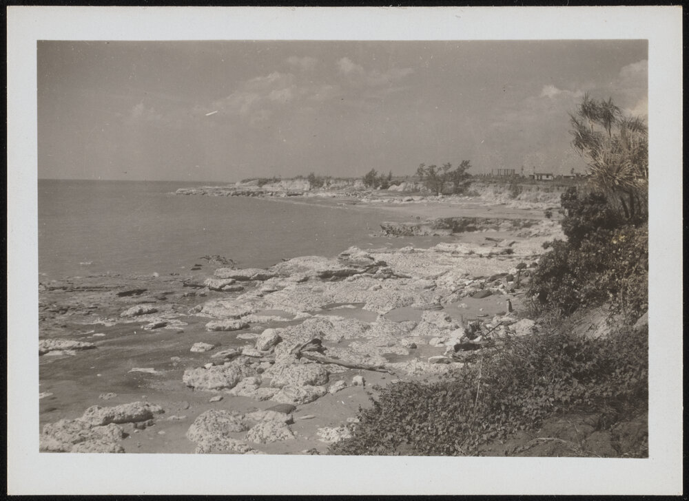 Cliffs at Nightcliff, Darwin 
