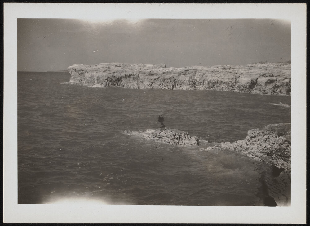 Cliffs at Nightcliff, Darwin 