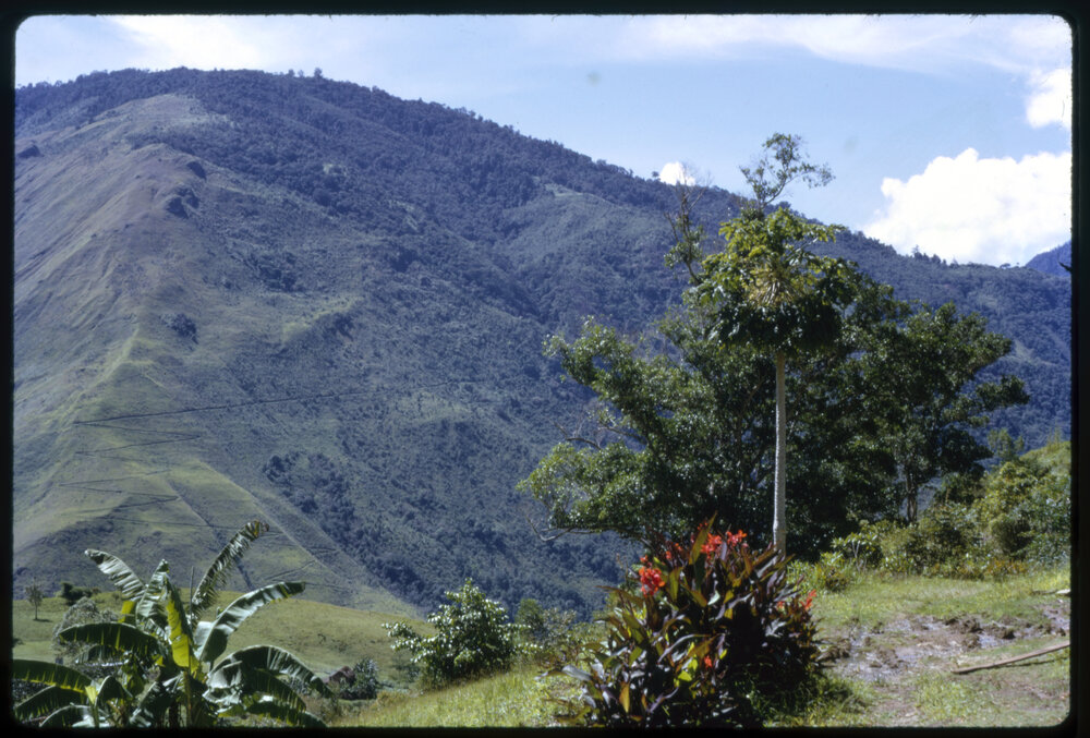 Tapini, Papua New Guinea