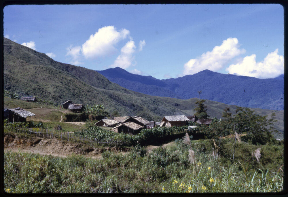 Village, Papua New Guinea