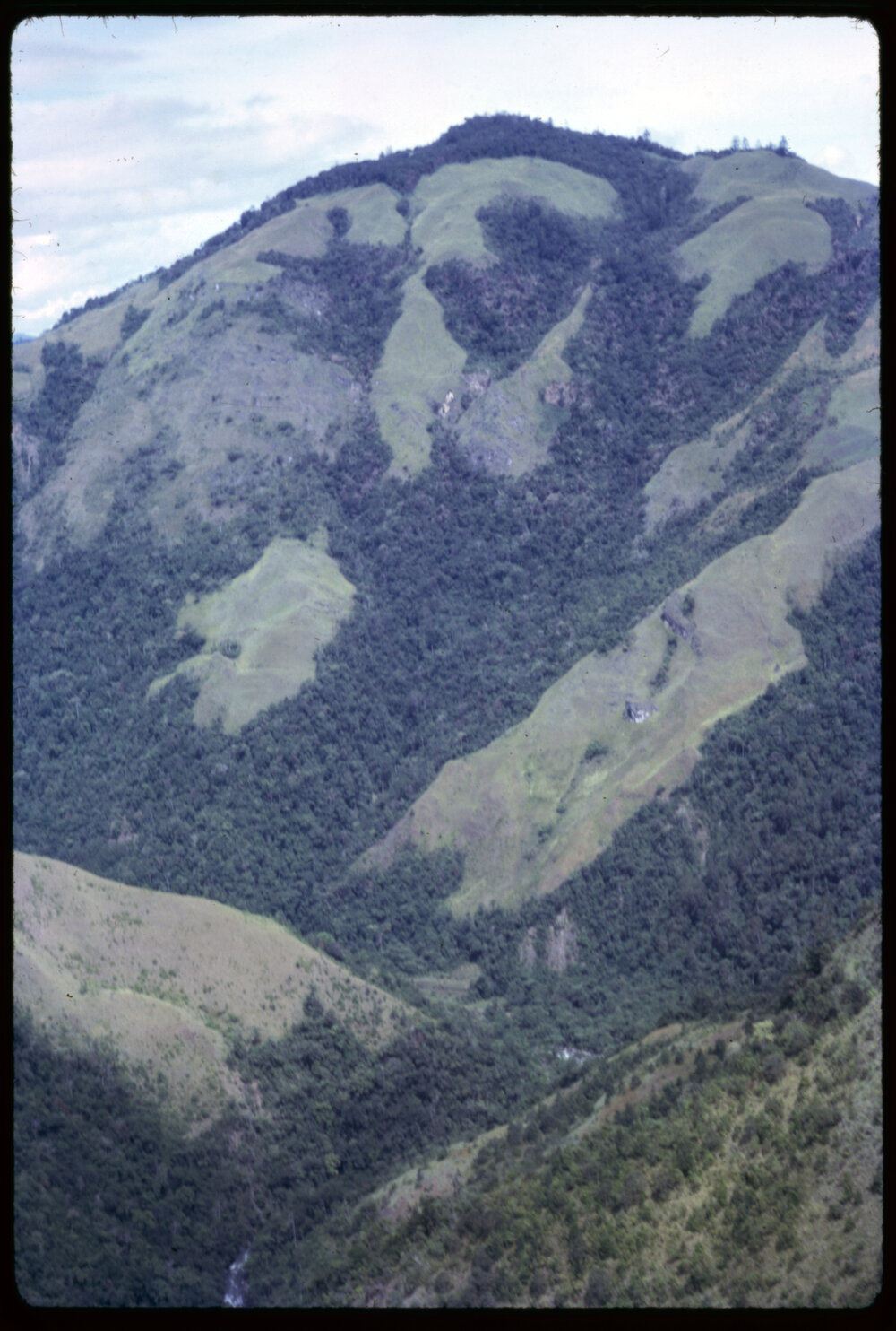 Mountainside, Papua New Guinea