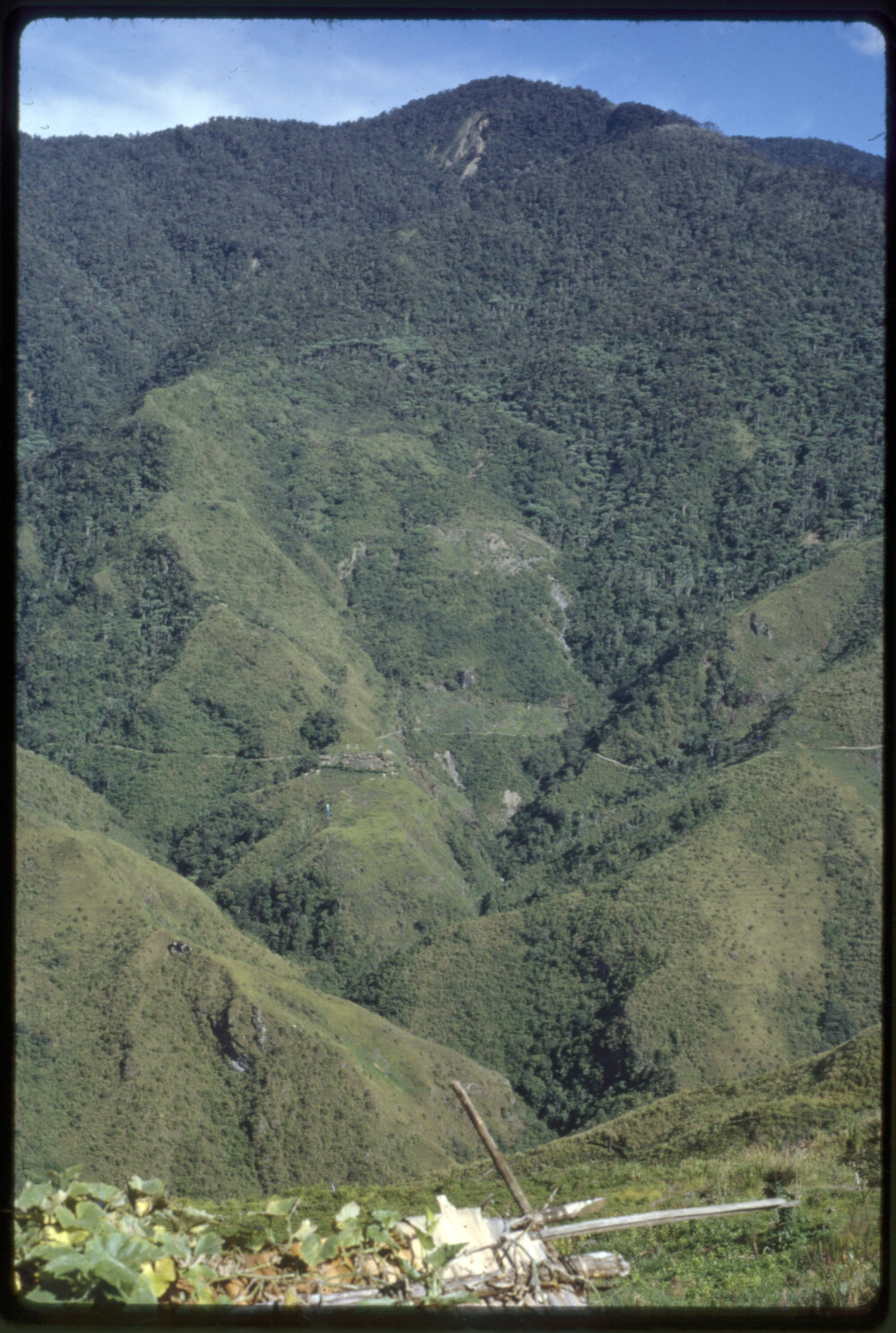 Mountainside, Papua New Guinea