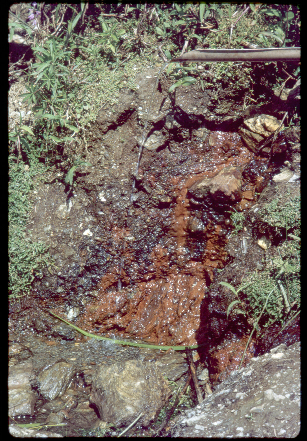 Soil in Papua New Guinea