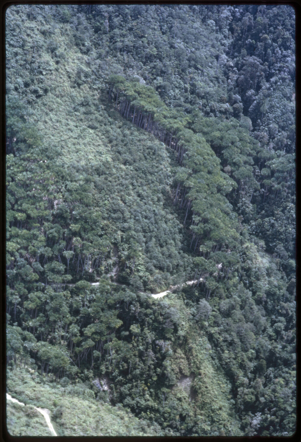 Aerial View of Mountainside, Papua New Guinea