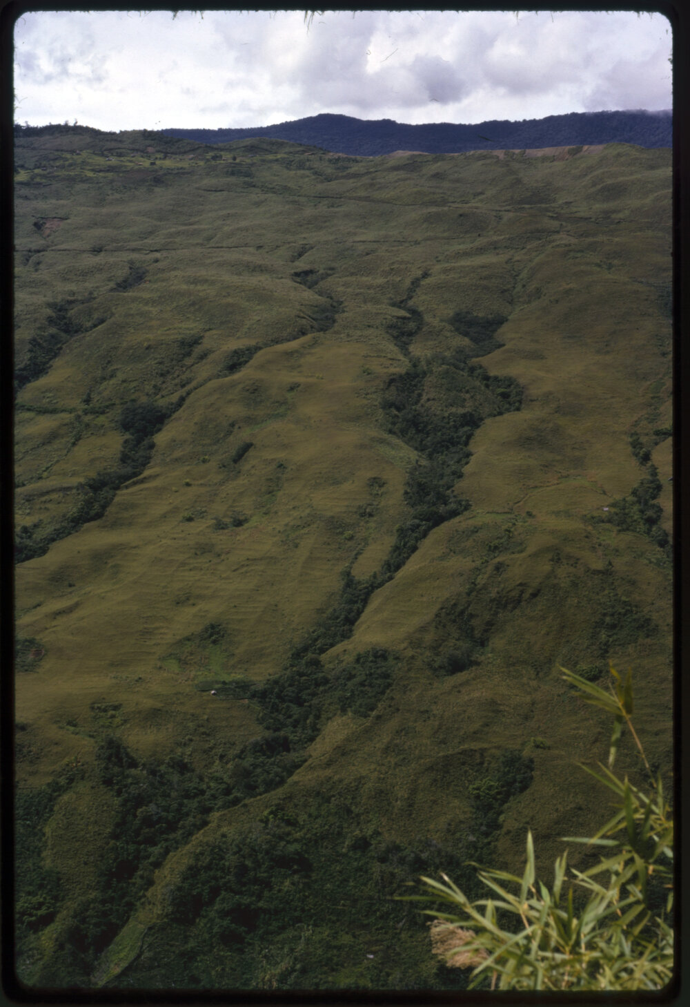 Mountainside, Papua New Guinea