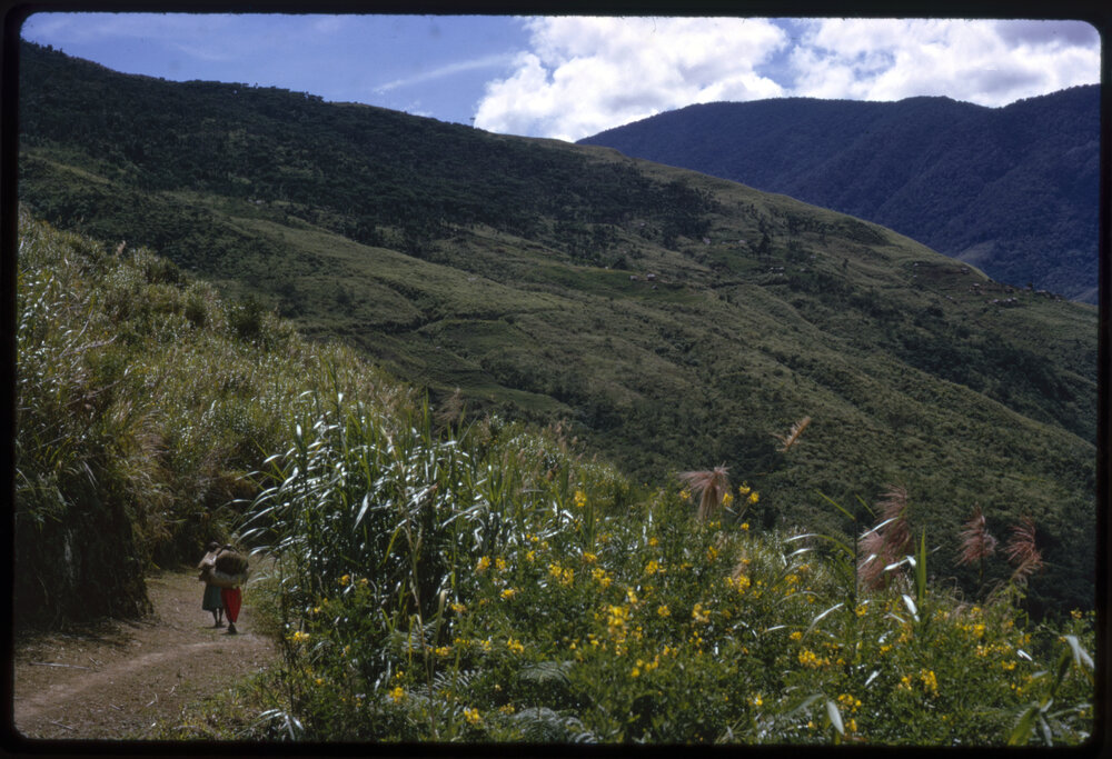 Mountainside, Papua New Guinea