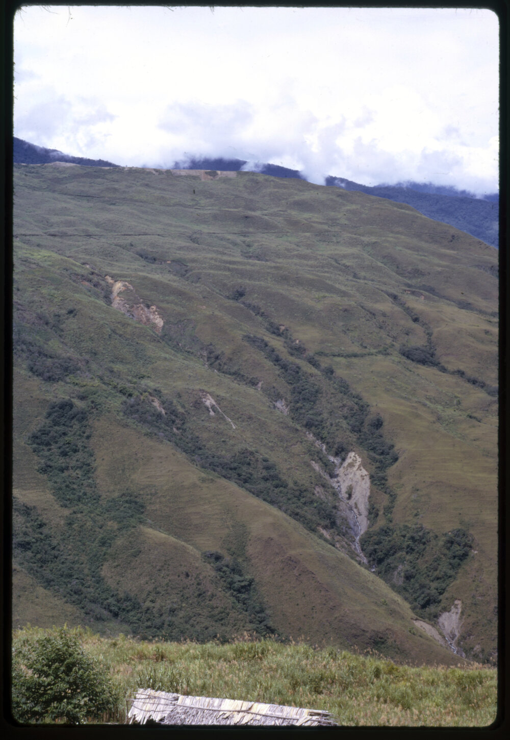 Mountainside, Papua New Guinea