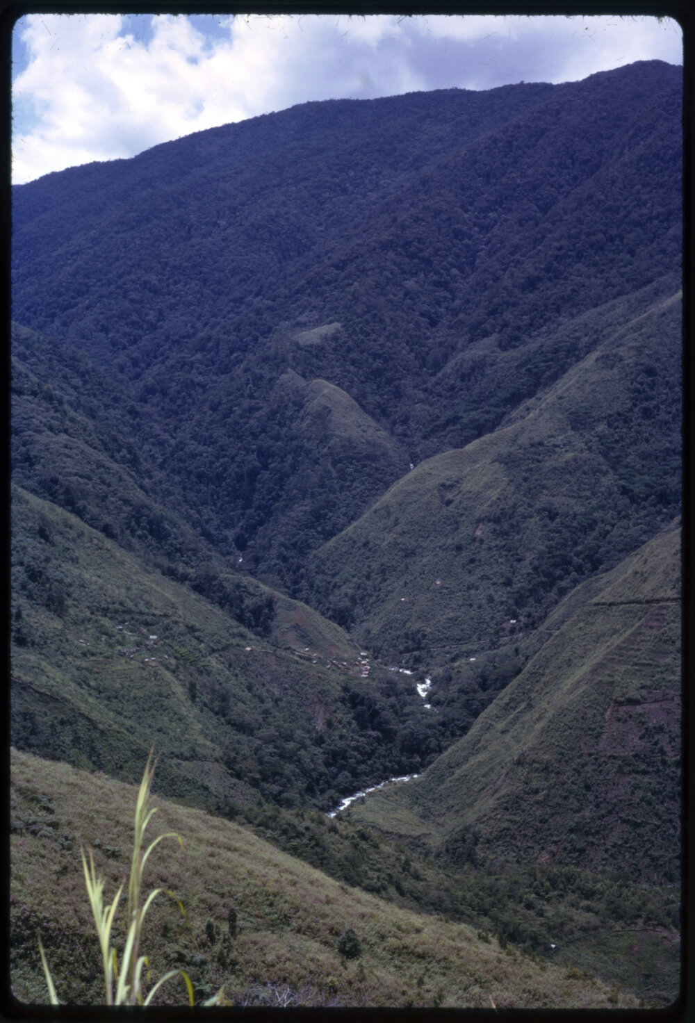 Valley, Papua New Guinea