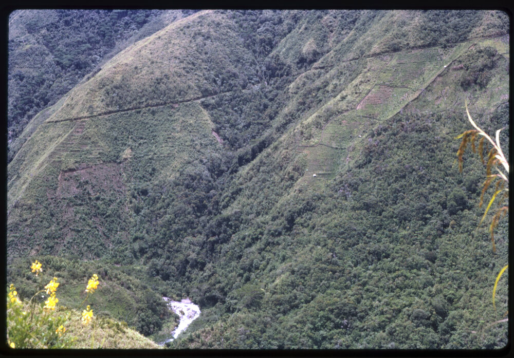 Mountainside, Papua New Guinea