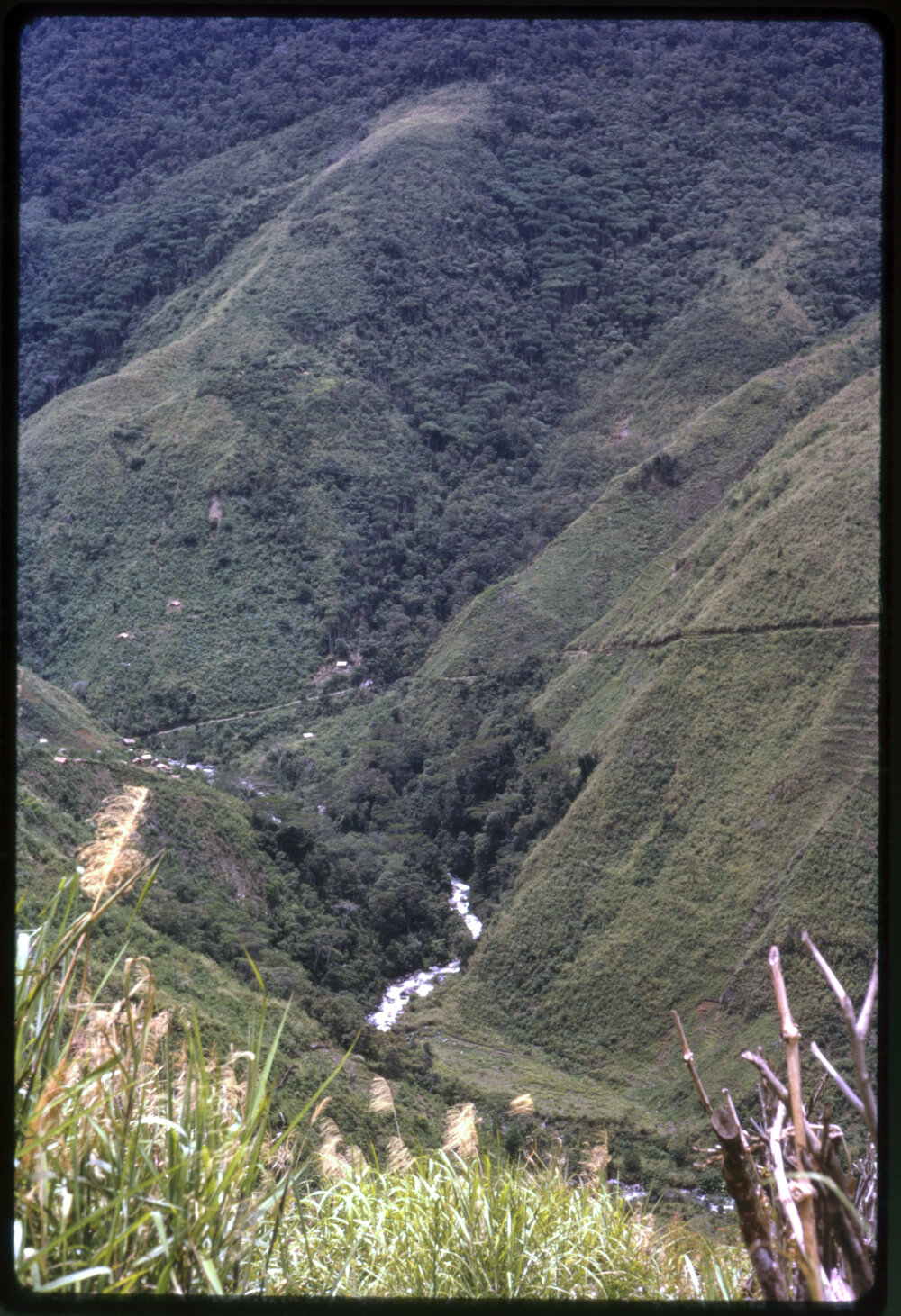 Valley, Papua New Guinea