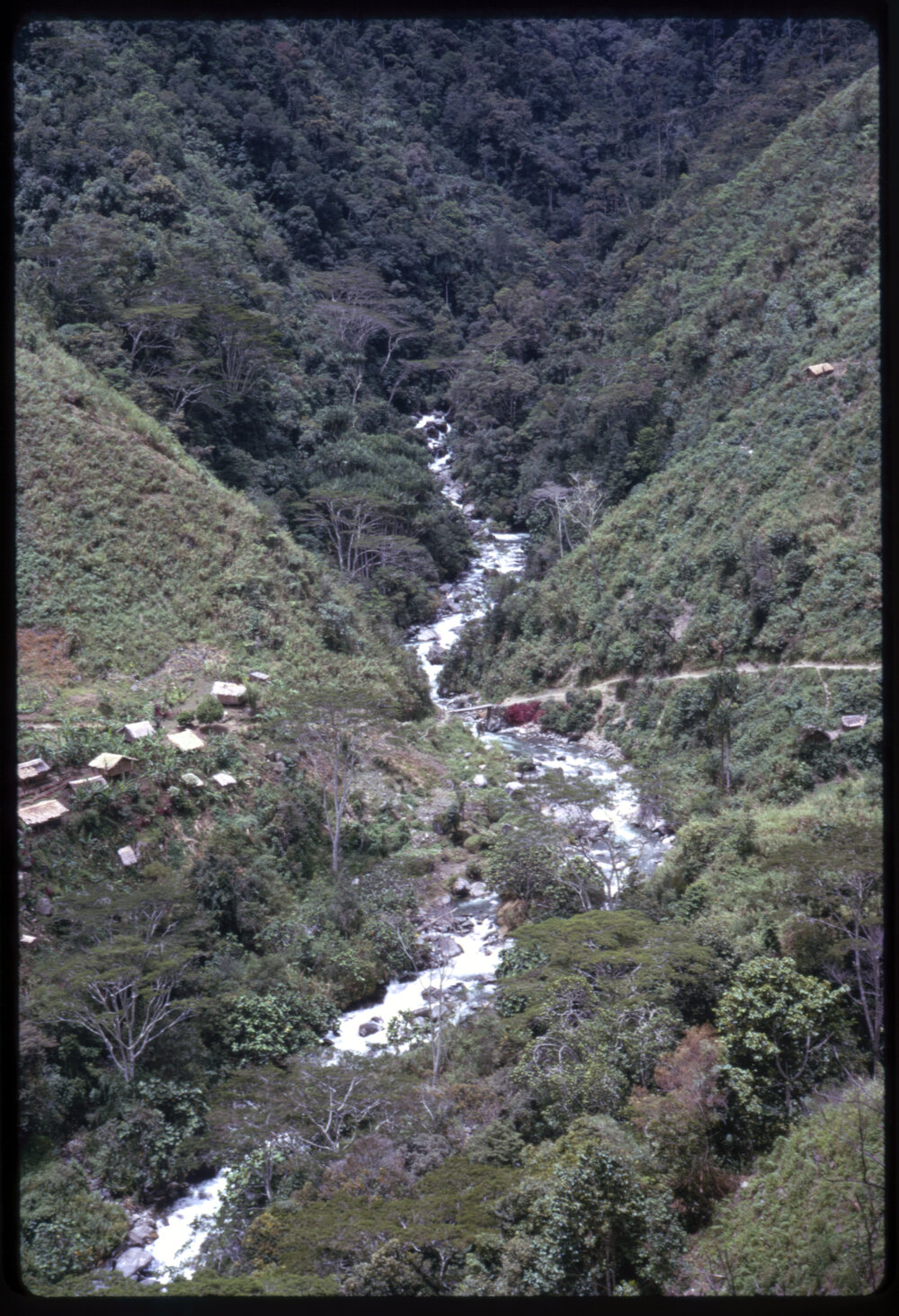 River, Papua New Guinea