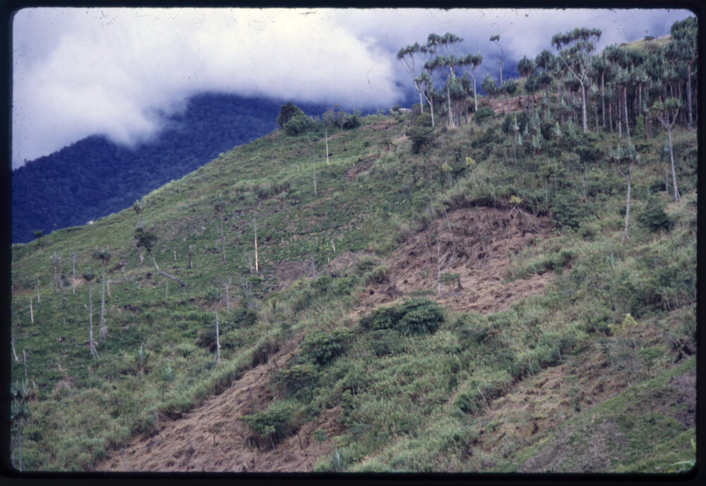 Mountainside, Papua New Guinea
