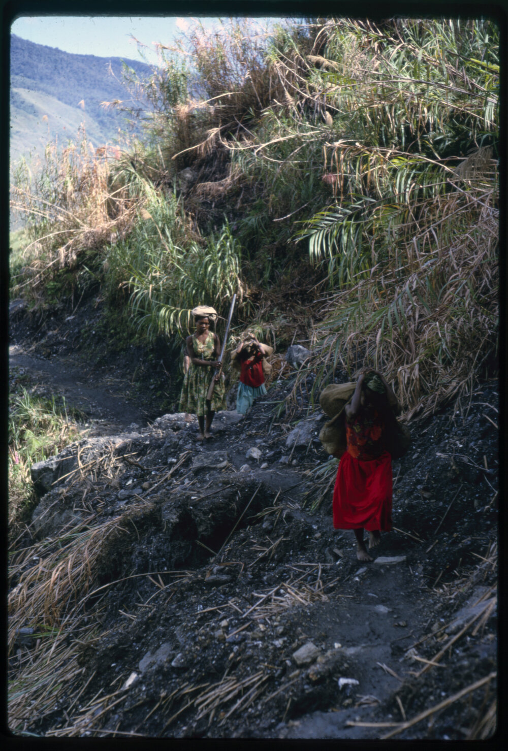 Three Women on Mountainside