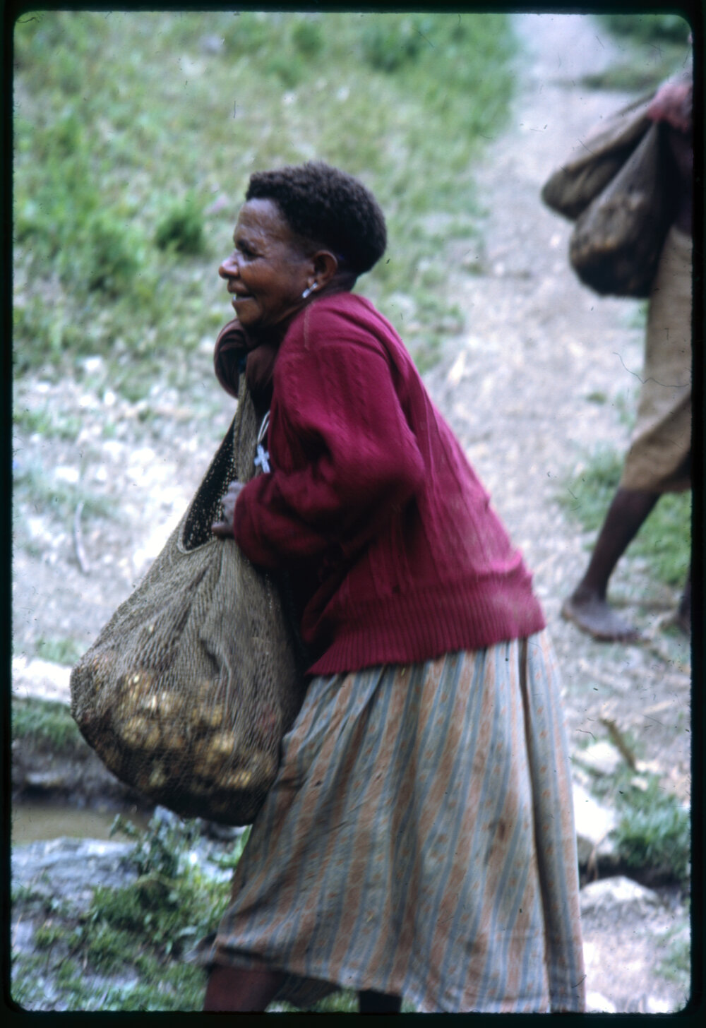 Woman Collecting Sweet Potatoes