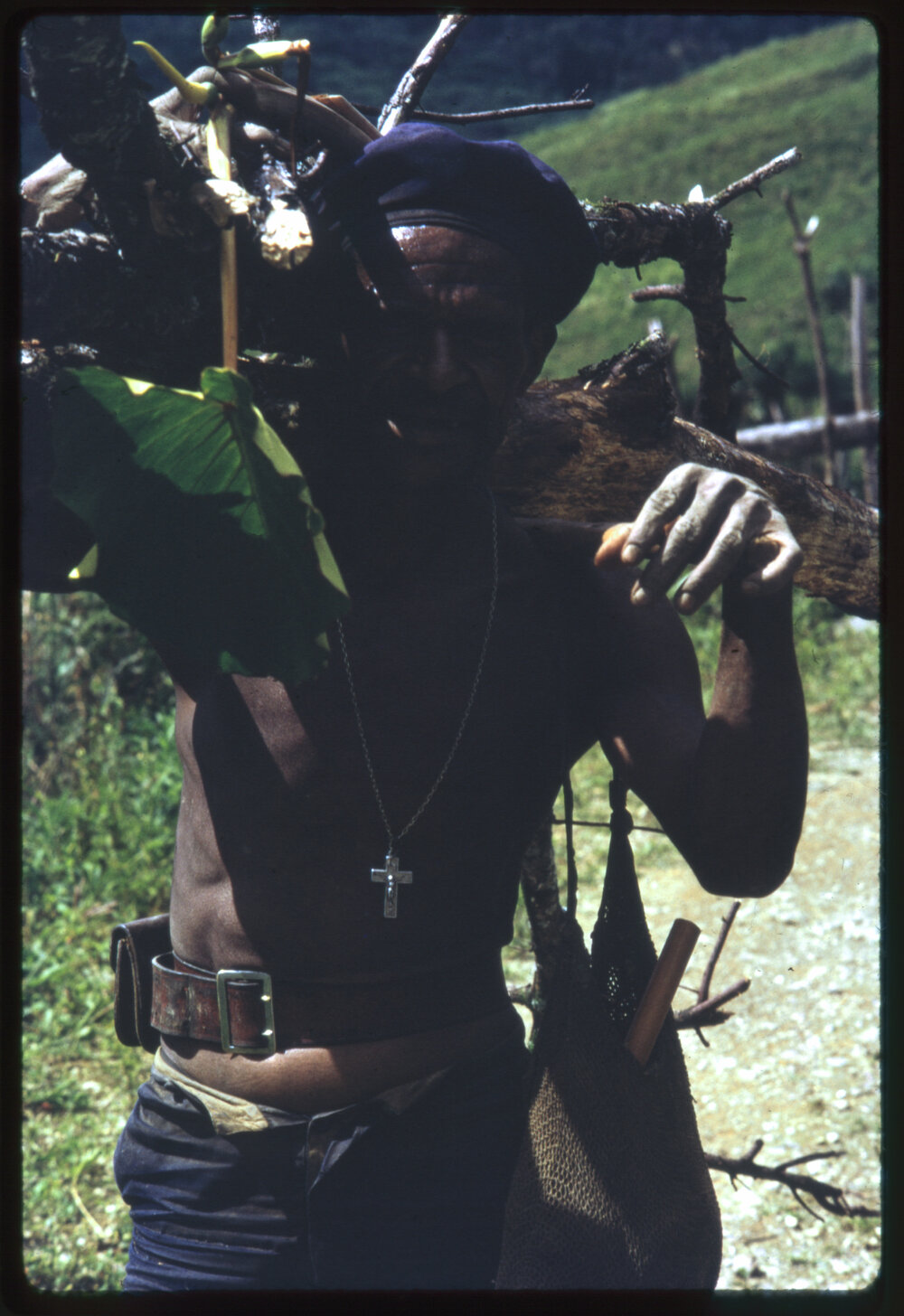 Man Carrying Branches