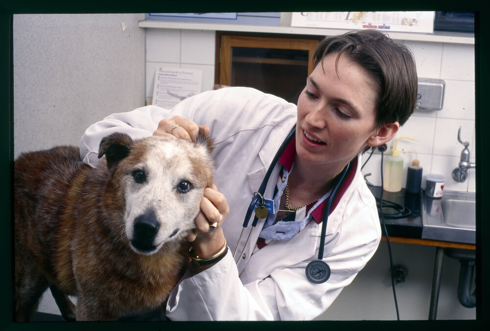 Carrie Balneaves Veterinary Science Student with a Dog